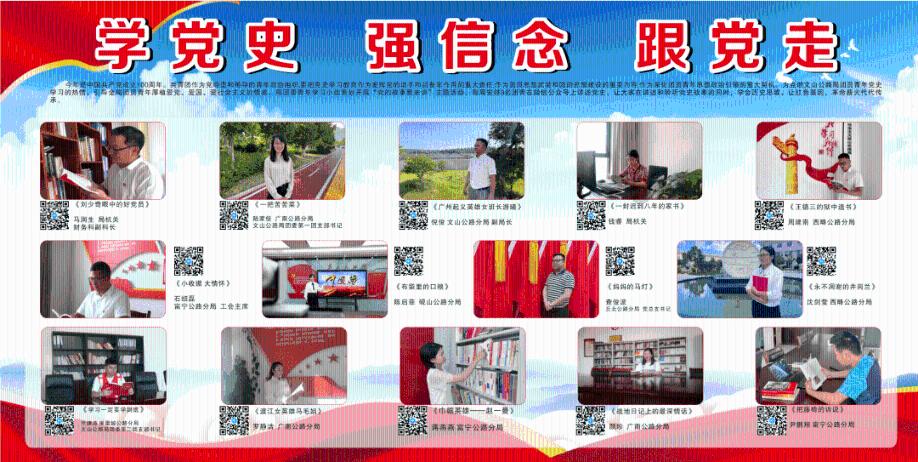 大连奇观！斑海豹与冬泳者同游